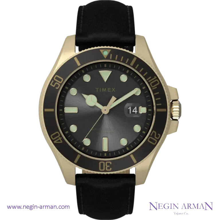 ساعت مردانه تایمکس مدل TW2V42200