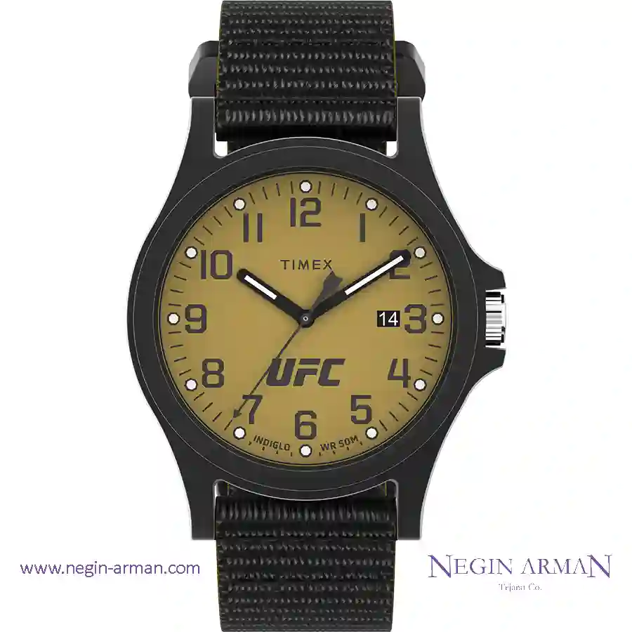 TW2V62200 ساعت مچی مردانه تایمکس مدل TW2V62200