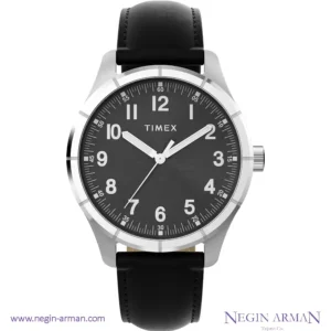 ساعت مچی مردانه تایمکس مدل TW2Y16100